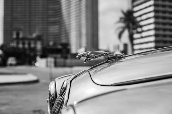 WagerWeb Kasino Android/iOS Sovellus